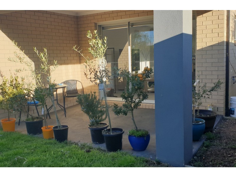 16/225 Sutton Street, Warragul VIC 3820