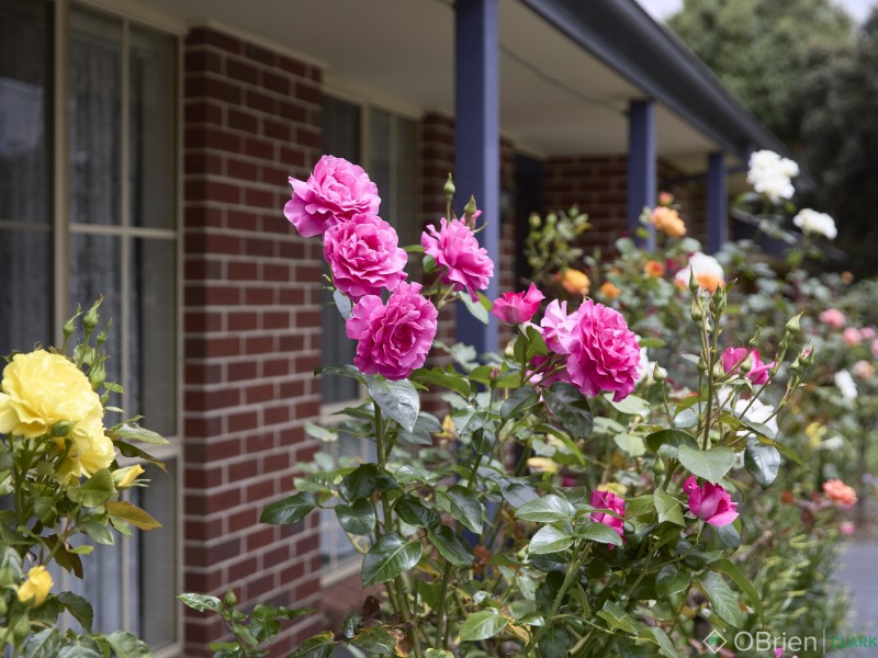 10 Palm Square, Drouin VIC 3818