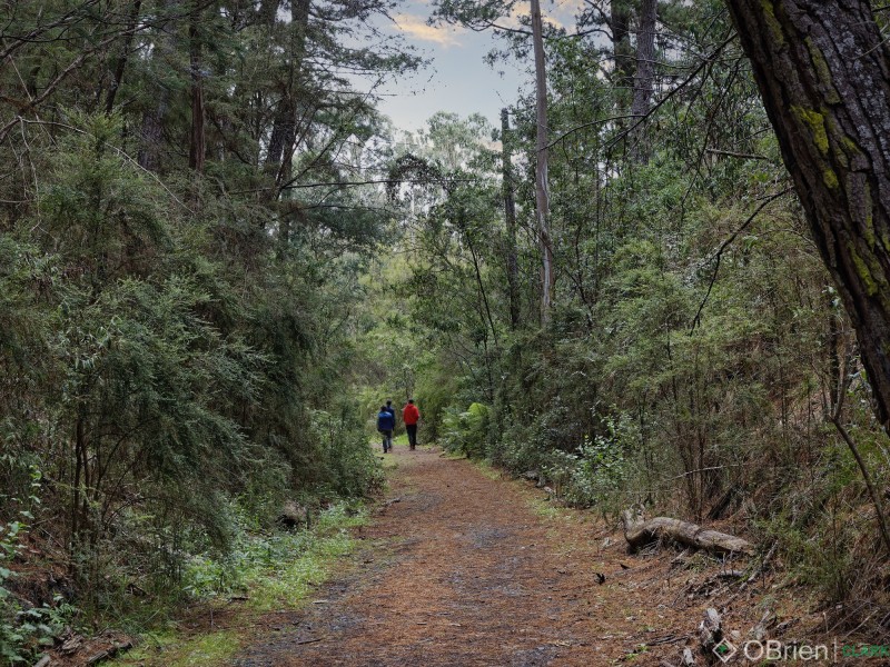 1/935 Brandy Creek Road, Rokeby VIC 3821