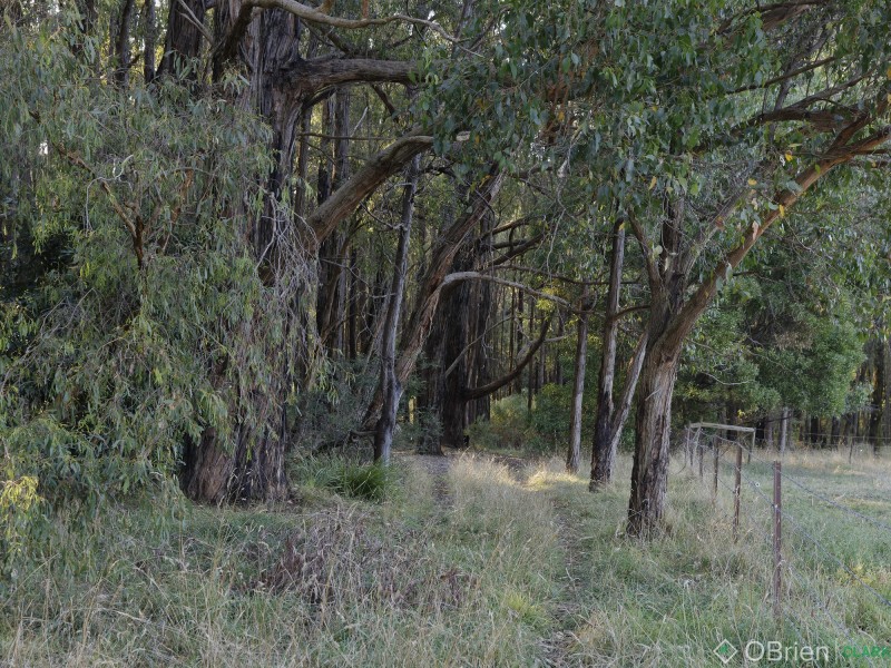 1/935 Brandy Creek Road, Rokeby VIC 3821