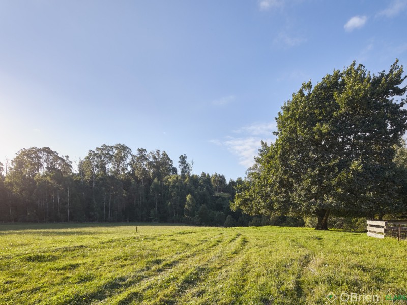 875  Main Neerim Road, Drouin West VIC 3818