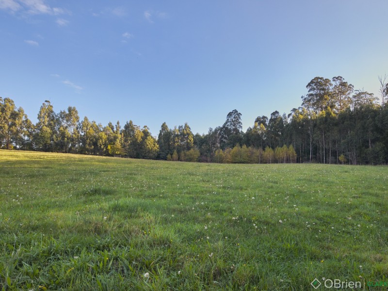 875  Main Neerim Road, Drouin West VIC 3818