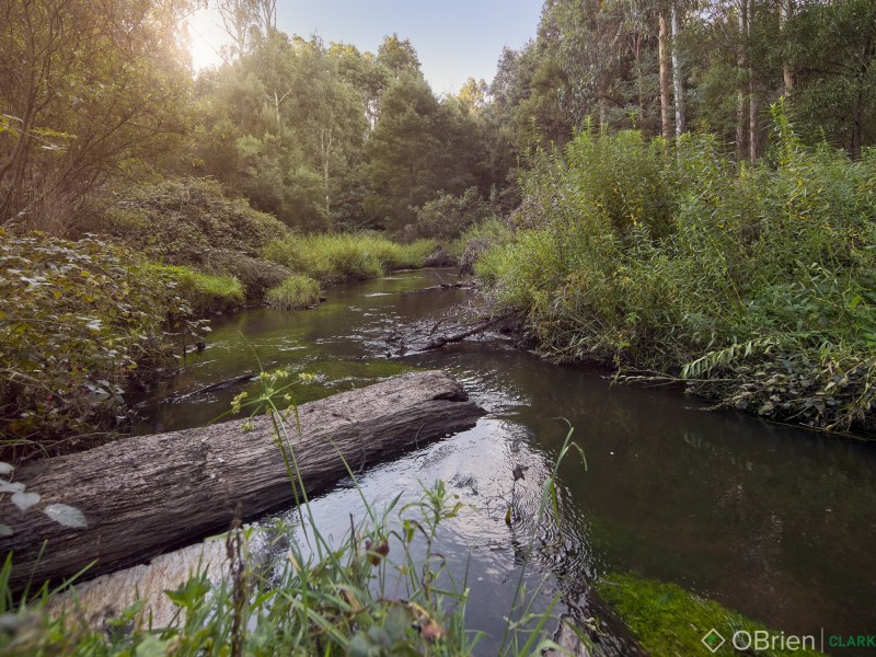 875  Main Neerim Road, Drouin West VIC 3818