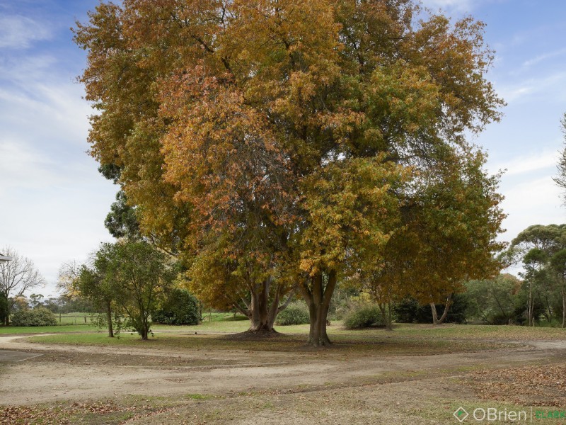 396 Edgar Road, Longwarry VIC 3816