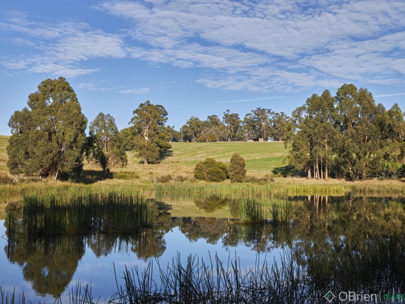 244 Dawsons Track, Nilma North VIC 3821