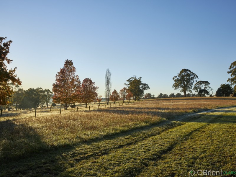 244 Dawsons Track, Nilma North VIC 3821