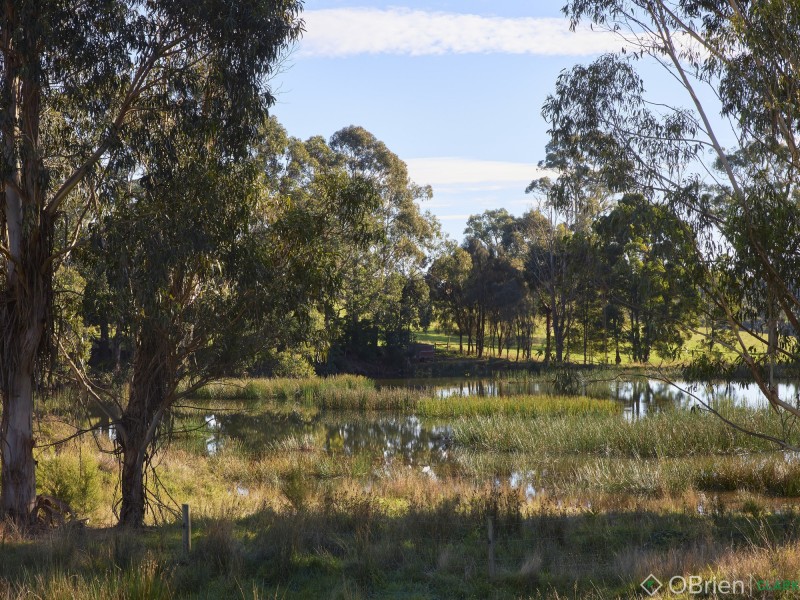 244 Dawsons Track, Nilma North VIC 3821