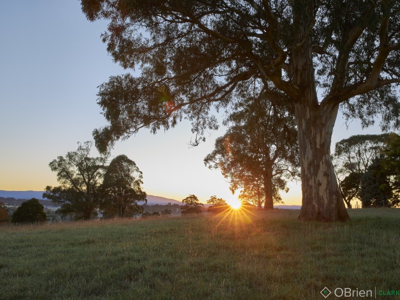 244 Dawsons Track, Nilma North VIC 3821