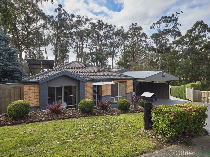 6 Andrew Court, Drouin VIC 3818