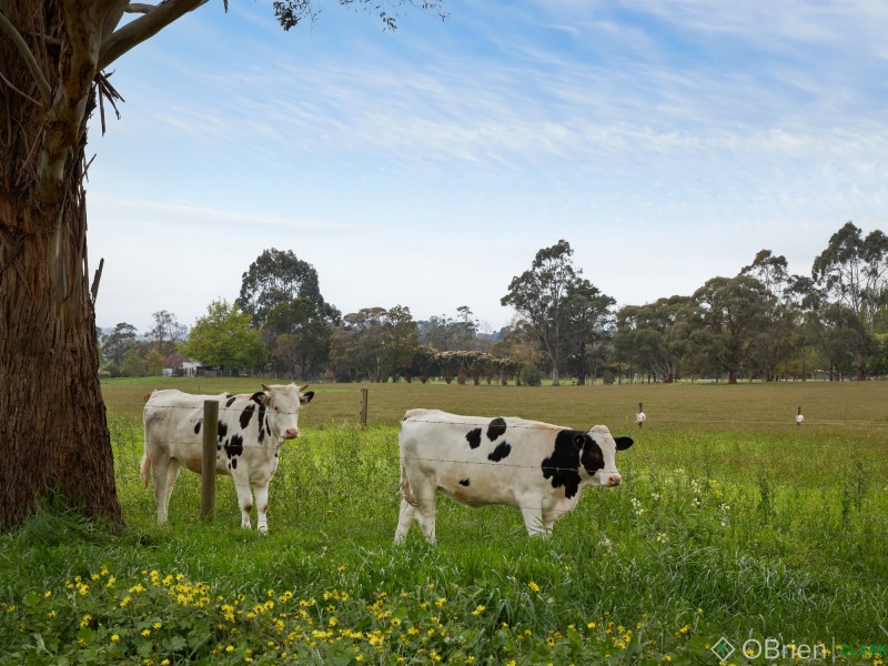 93 No. 1 Road, Nilma VIC 3821