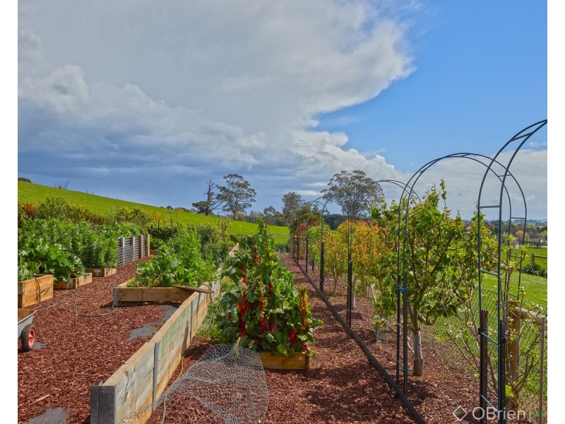 14 Emerald Drive, Warragul VIC 3820