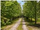 275 Forest Road, Labertouche VIC 3816