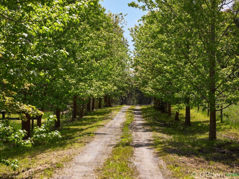 275 Forest Road, Labertouche VIC 3816