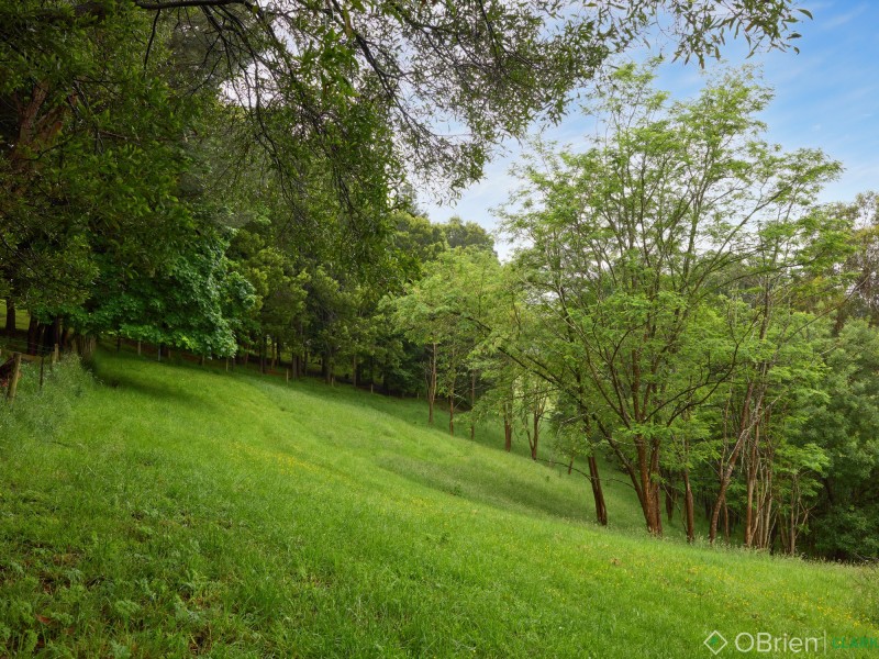 1310 Main Neerim Road, Rokeby VIC 3821