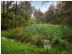 1310 Main Neerim Road, Rokeby VIC 3821