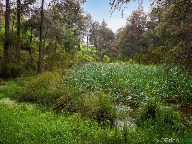 1310 Main Neerim Road, Rokeby VIC 3821