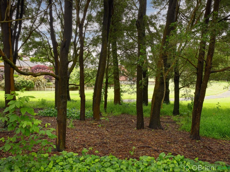 14 Camelot Court, Warragul VIC 3820