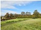 5 Romano Court, Drouin VIC 3818