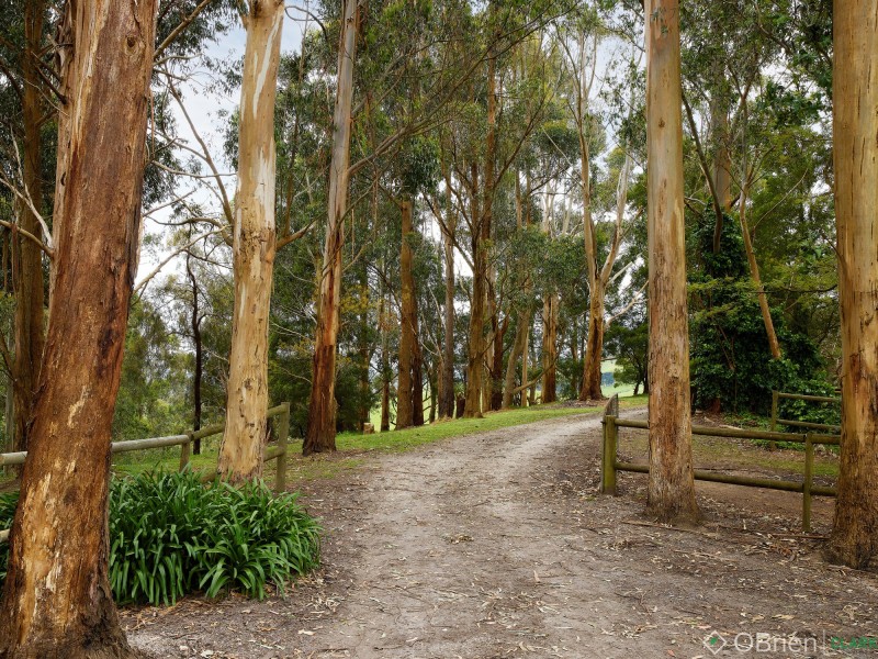 33 Grand Ridge Road, Seaview VIC 3821