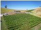 2519 Korumburra-Warragul Road, Tetoora Road VIC 3821