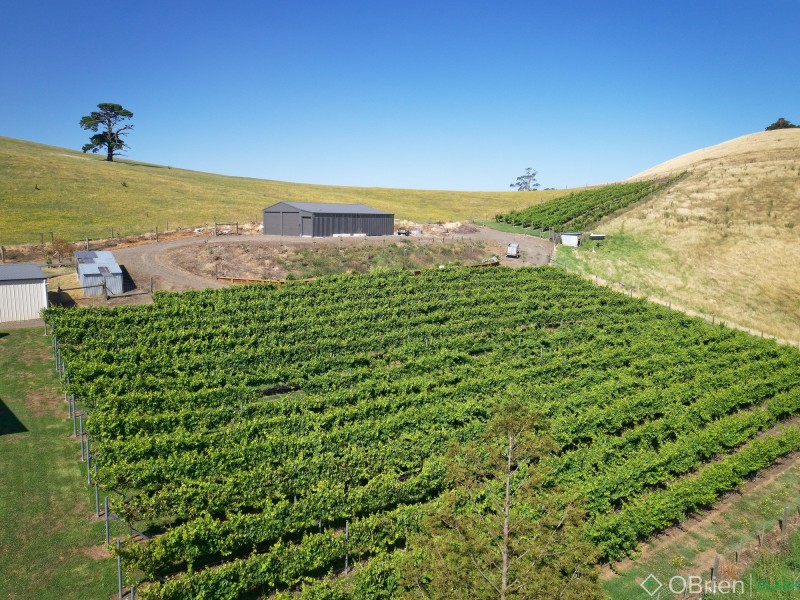2519 Korumburra-Warragul Road, Tetoora Road VIC 3821