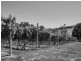 2519 Korumburra-Warragul Road, Tetoora Road VIC 3821