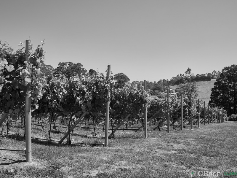 2519 Korumburra-Warragul Road, Tetoora Road VIC 3821