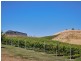 2519 Korumburra-Warragul Road, Tetoora Road VIC 3821