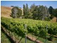 2519 Korumburra-Warragul Road, Tetoora Road VIC 3821