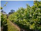 2519 Korumburra-Warragul Road, Tetoora Road VIC 3821