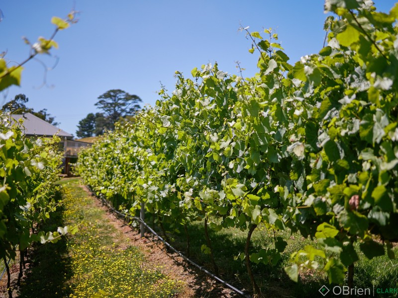 2519 Korumburra-Warragul Road, Tetoora Road VIC 3821