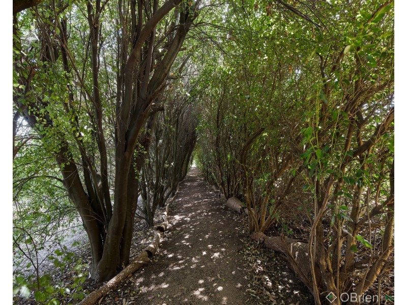 10 Hunter Close, Drouin VIC 3818