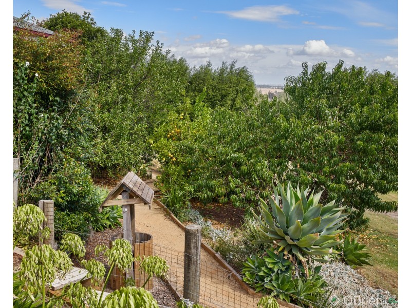 10 Hunter Close, Drouin VIC 3818