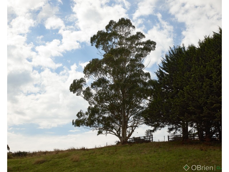 337 Ferndale Road, Ferndale VIC 3821