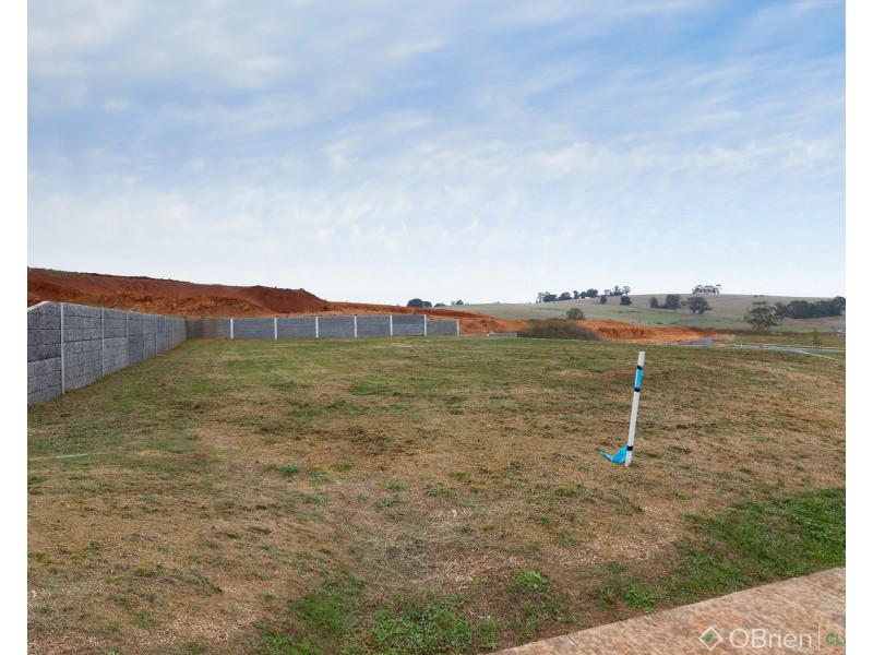 12 Coconut Street, Drouin VIC 3818