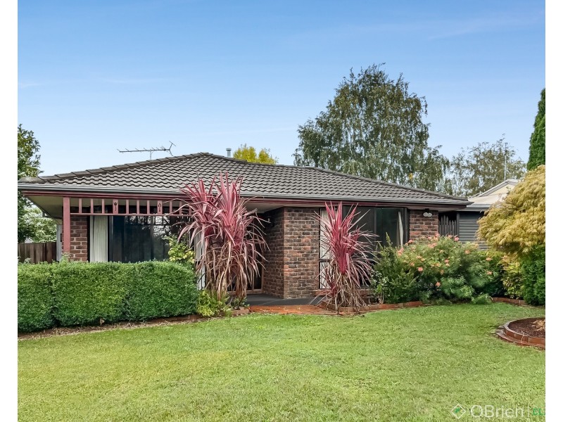 19 Adam Court, Drouin VIC 3818