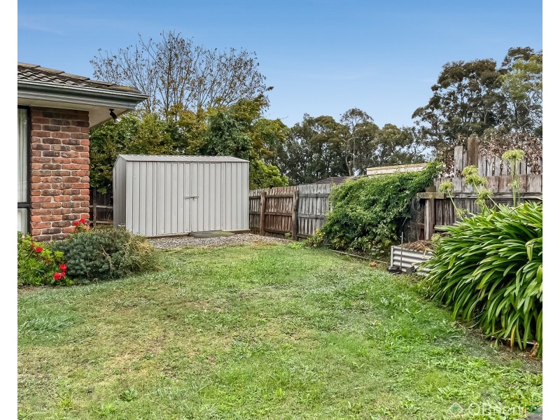 19 Adam Court, Drouin VIC 3818