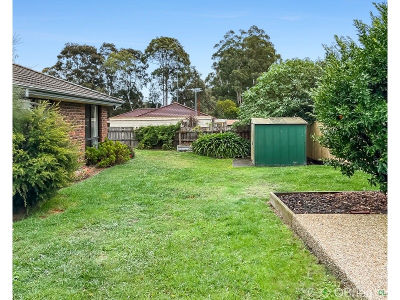 19 Adam Court, Drouin VIC 3818
