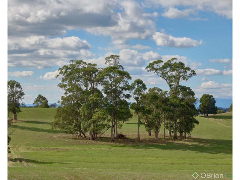 47 East West Road, Warragul South VIC 3821