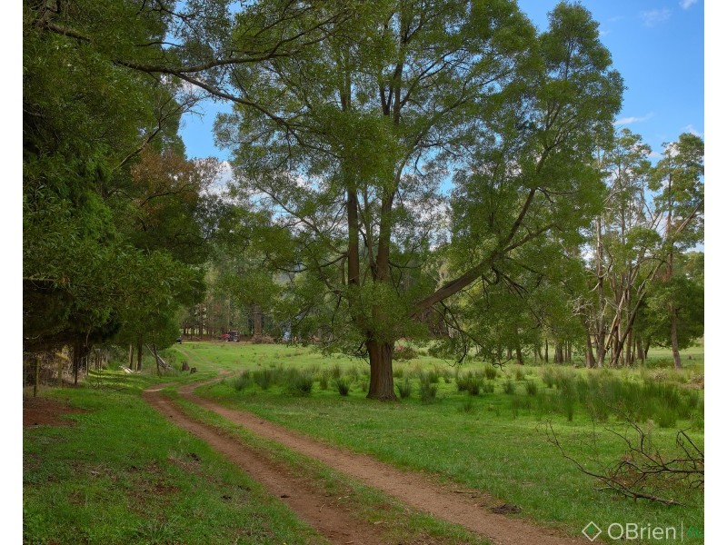 47 East West Road, Warragul South VIC 3821
