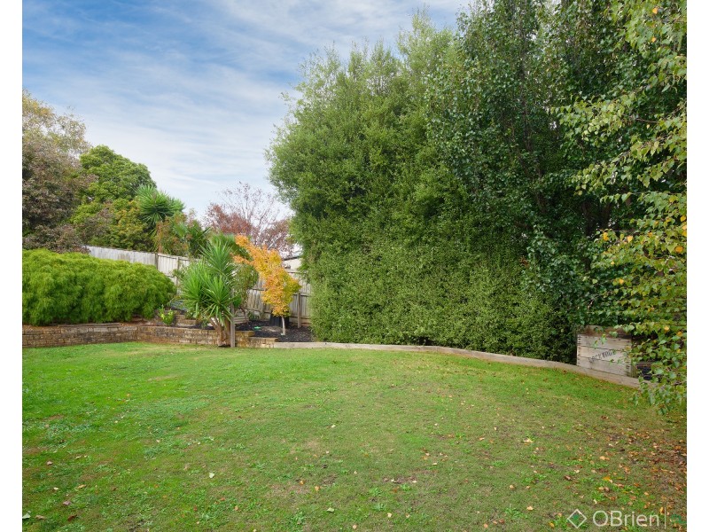 29 Hatfield Drive, Drouin VIC 3818