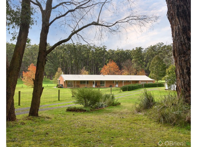 40 Pleasances Road, Darnum VIC 3822