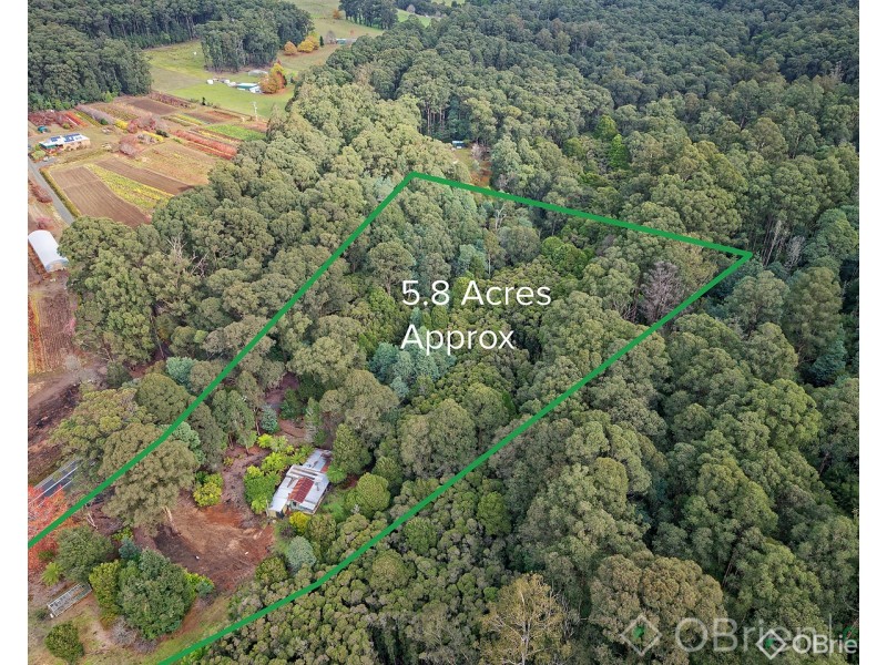 3505 Yarra Junction-Noojee Road, Piedmont VIC 3833