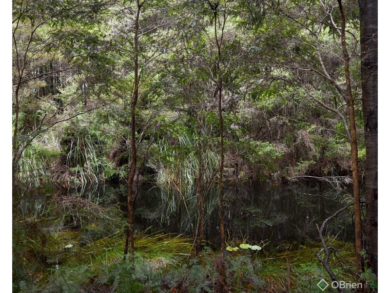 3505 Yarra Junction-Noojee Road, Piedmont VIC 3833