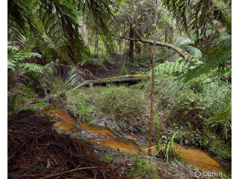 3505 Yarra Junction-Noojee Road, Piedmont VIC 3833