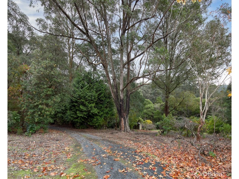 3505 Yarra Junction-Noojee Road, Piedmont VIC 3833