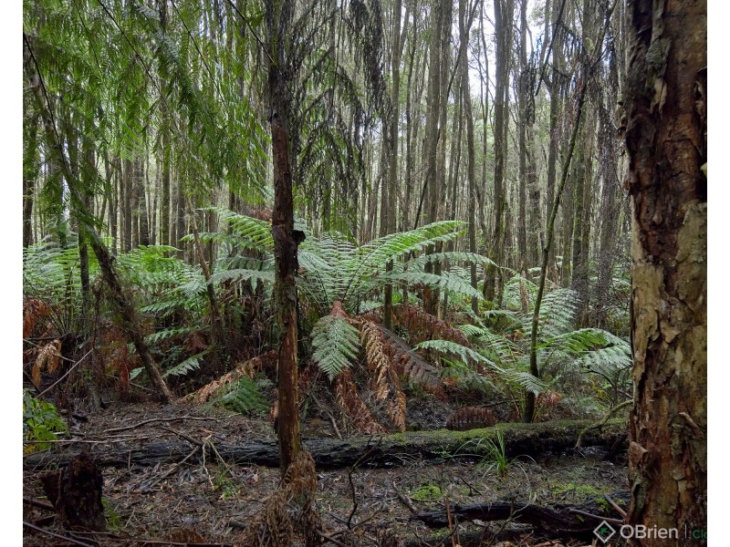 3505 Yarra Junction-Noojee Road, Piedmont VIC 3833