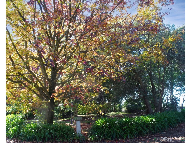 550 Drouin-Korumburra Road, Drouin South VIC 3818