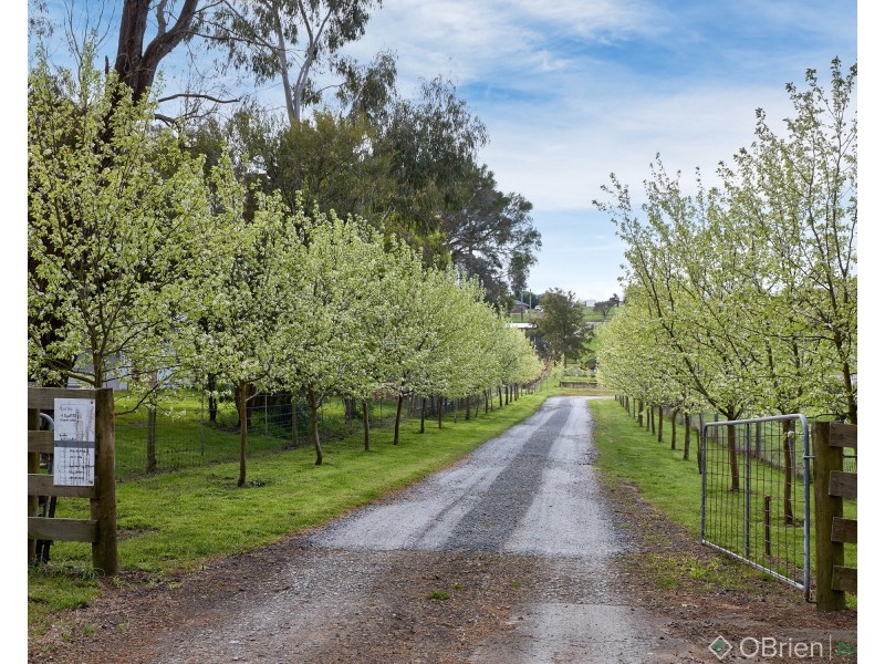 19 Dyall Road, Drouin VIC 3818