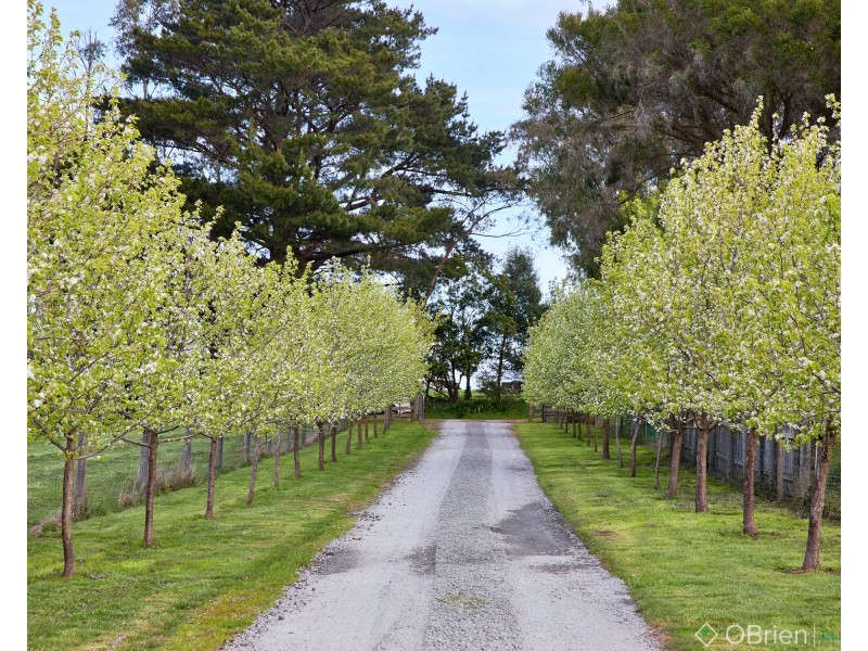 19 Dyall Road, Drouin VIC 3818